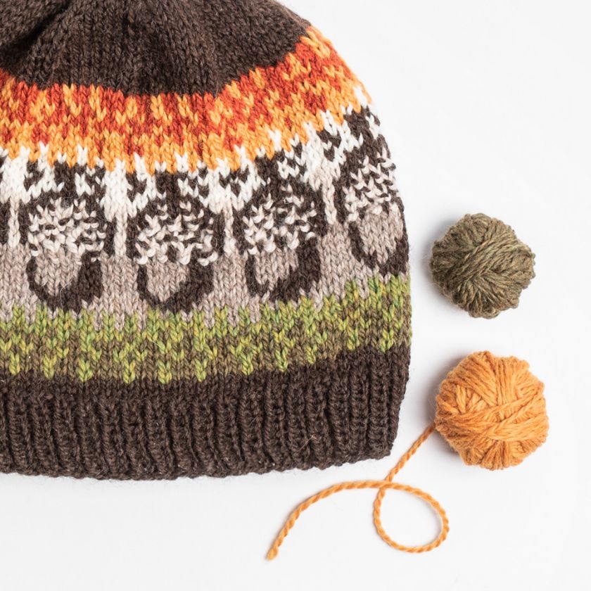 Acorn Street Cap