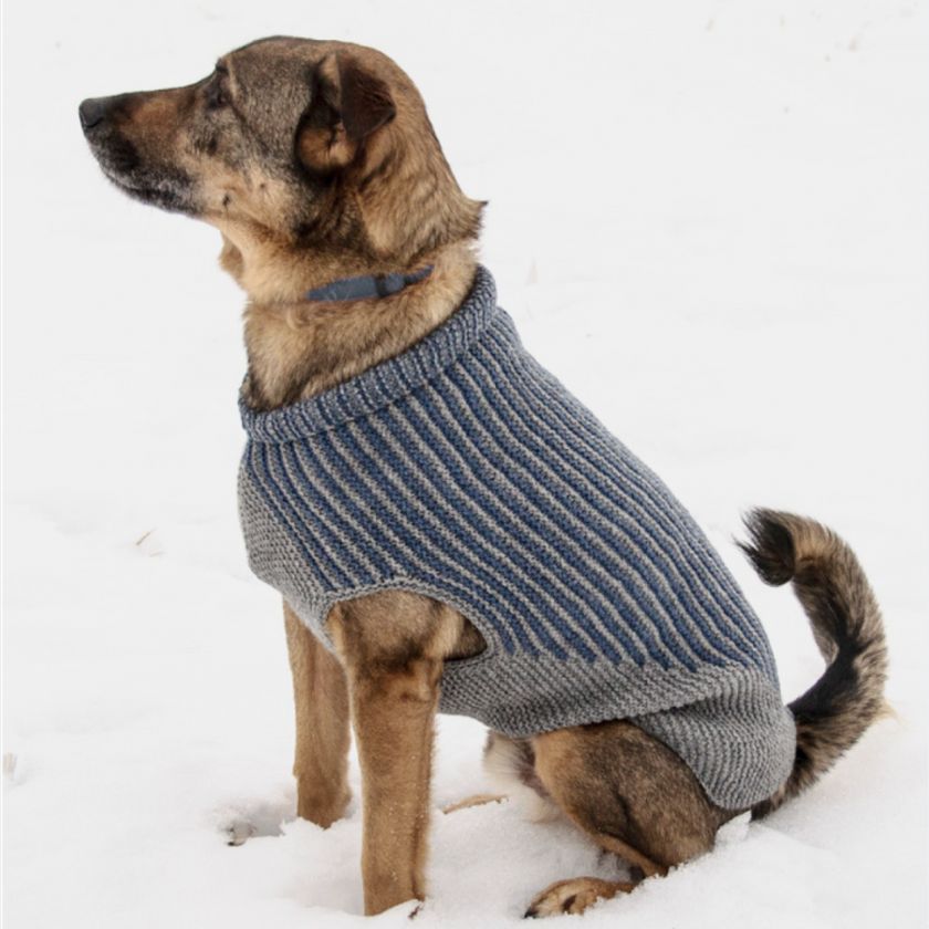 Blue Sky Fibers Bird Island Dog Sweater Knitting Kit