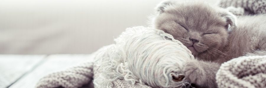 5 Practical Tips To Improve Your Knitting