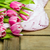 Mother's Day Gift Guide for Knitters