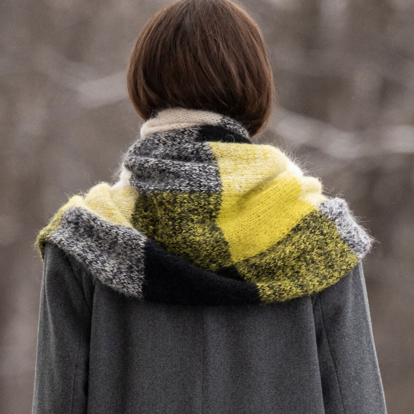 Back view of a person wearing a gray coat with a colorful Amsterdam scarf in an outdoor setting