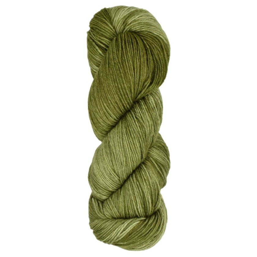 Skein of Araucania Huasco Sock Kettle Dyes yarn in the color Cardamon