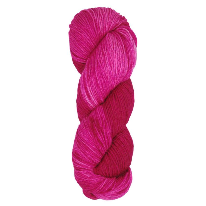 Skein of Araucania Huasco Sock Kettle Dyes yarn in the color Fuchsia