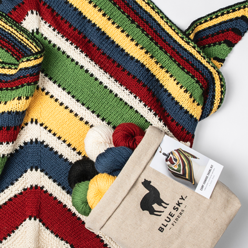 Camp Ivanhoe shawl kit with yarn and Blue Sky Fibers project bag
