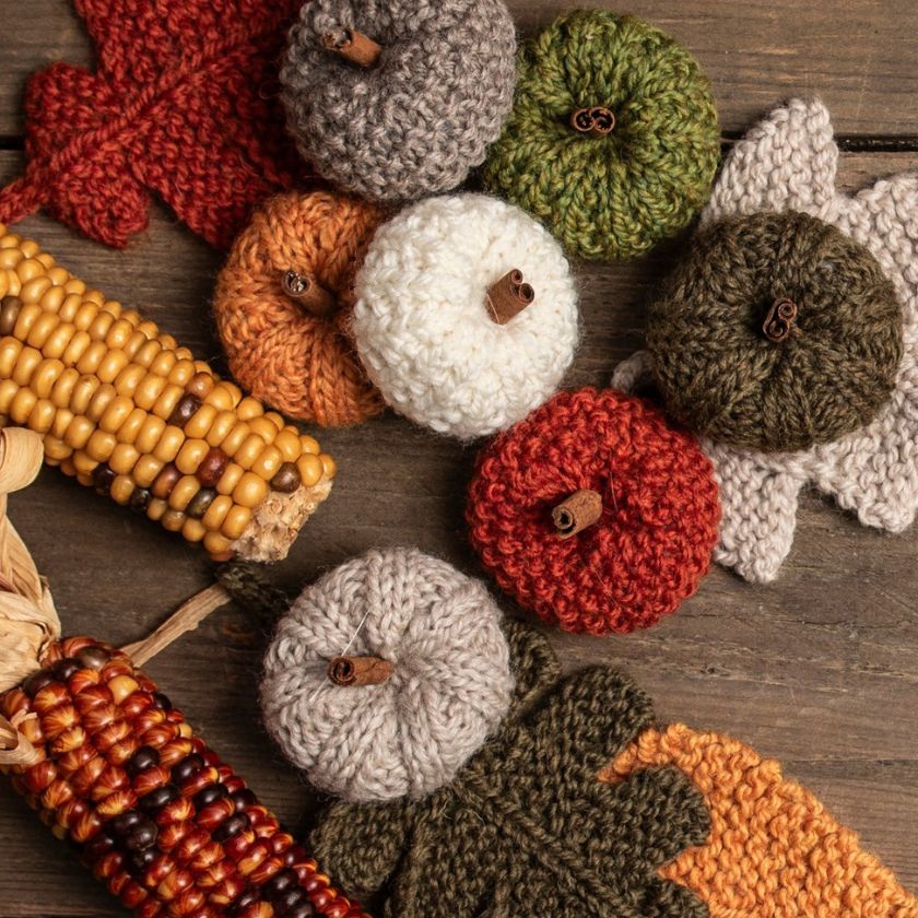 Knitted pumpkins and corn from the Fall Festival knitting kit from The Dizzy Knitter