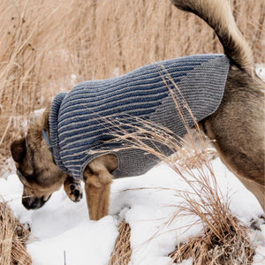 Bird Island Dog Sweater