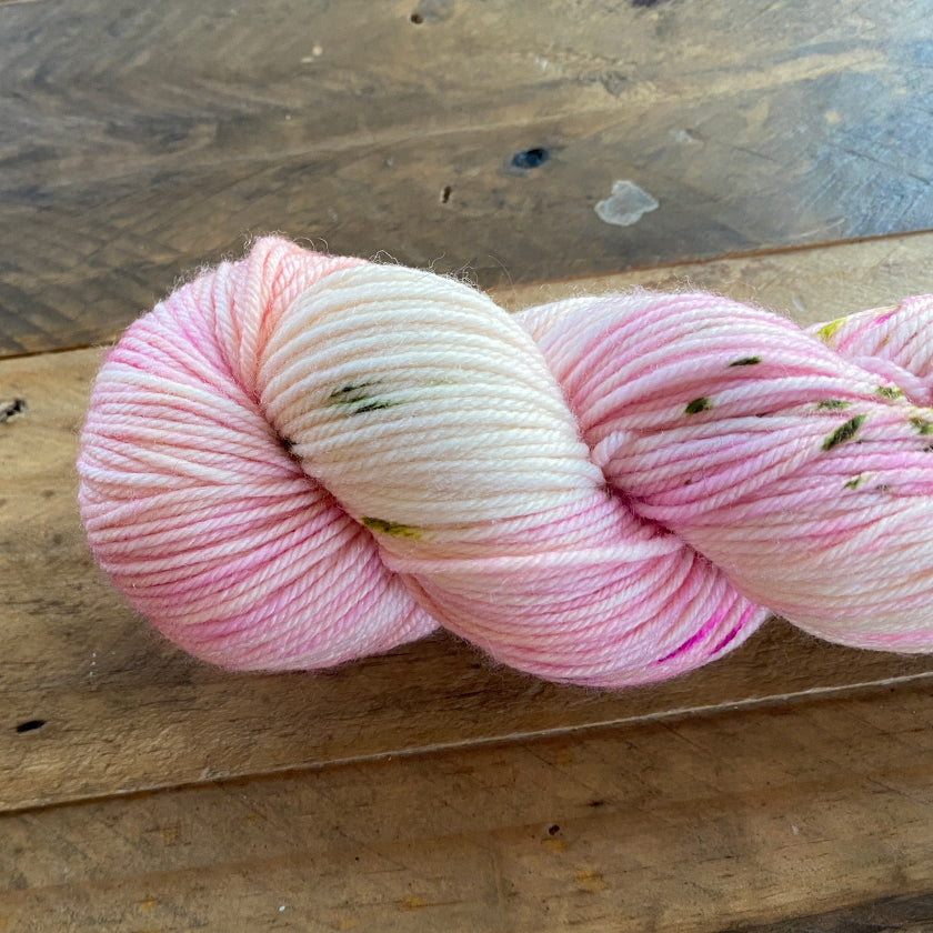 Classy Merino by Dream In Color