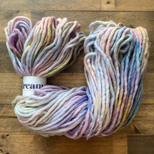 Sprout Beanie Kit