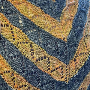 Daria Shawl